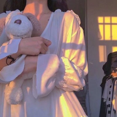 灵犬寻主记